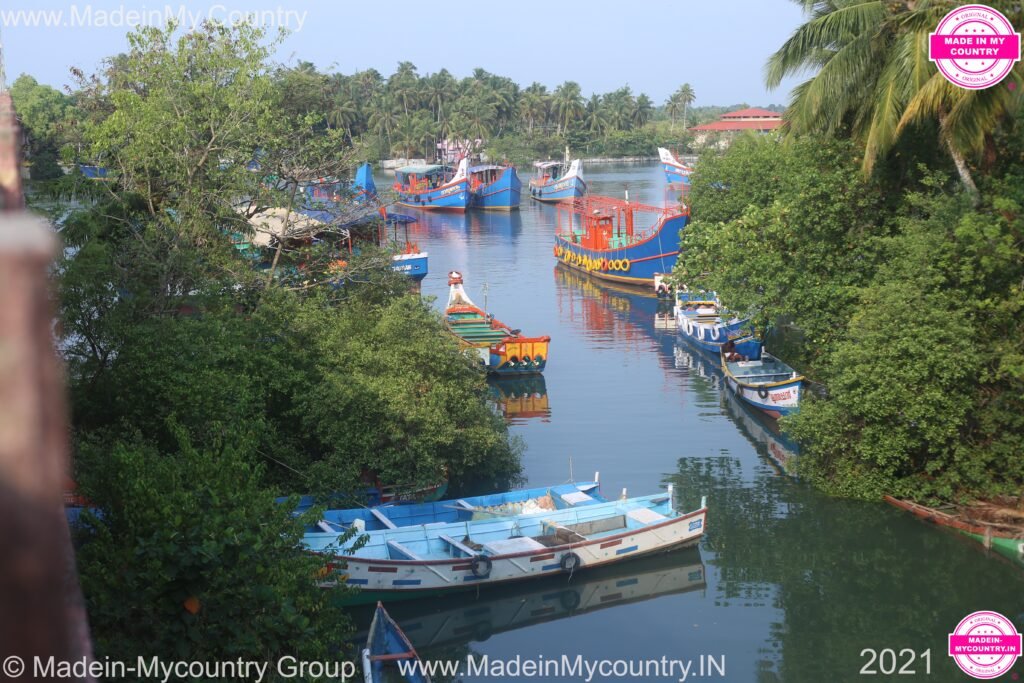 MadeinMycountry MadeinMycountryIndia India 